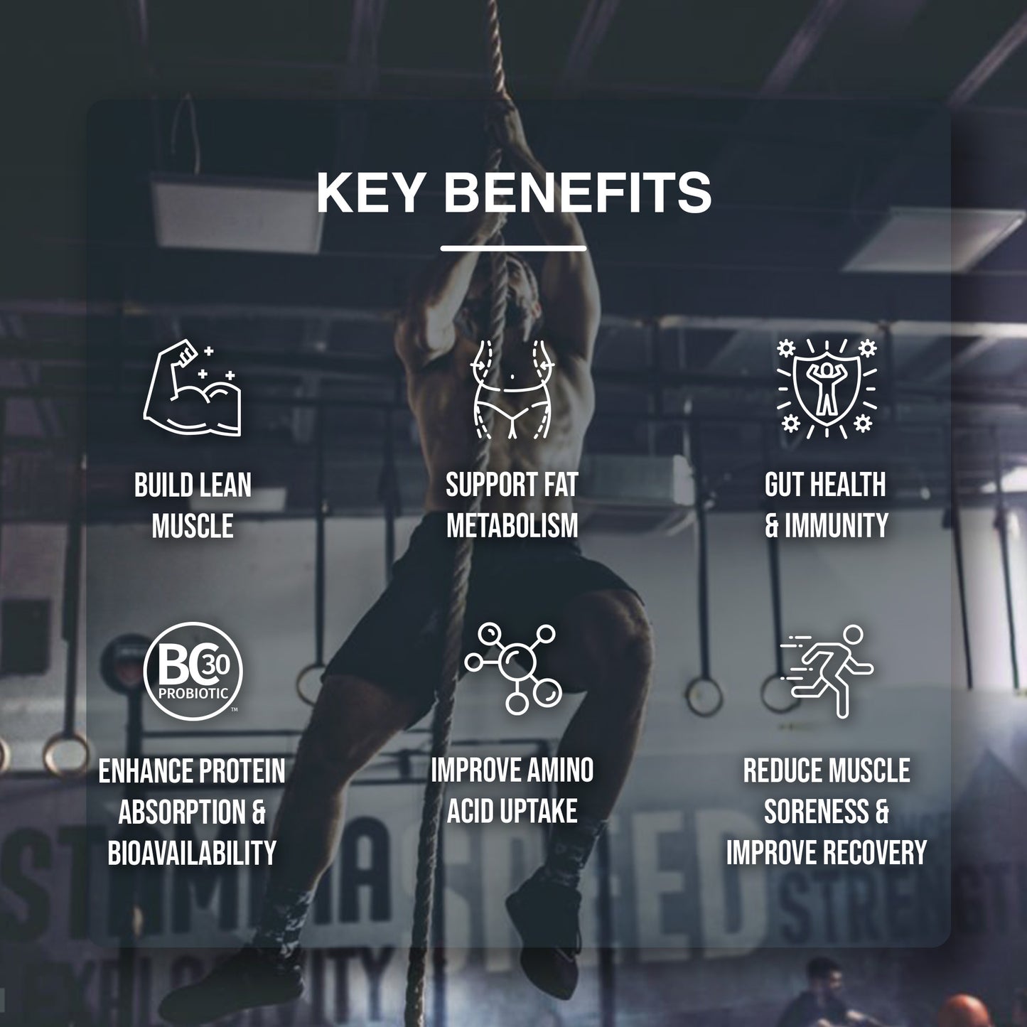 Iced Latte | 25g - Fast Absorbing, Clean Whey Isolate Protein Blend Powered by  Clinically Tested BC30™ Probiotics | 2x Greater Bioavailability and Enhanced Recovery