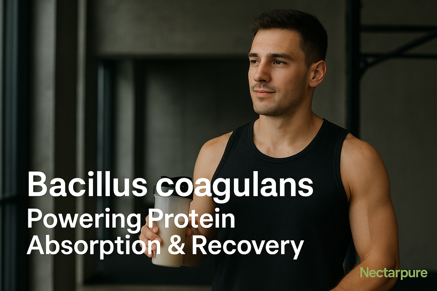Efficacy of BC30™ Probiotic in Protein Absorption &amp; Muscle Recovery